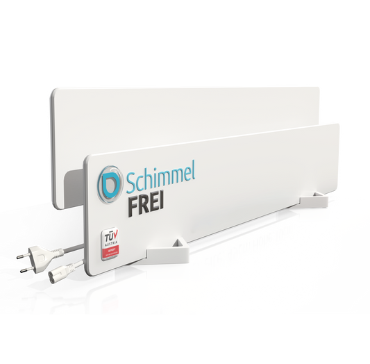 Combattre la moisissure à la source – au lieu de simplement la recouvrir