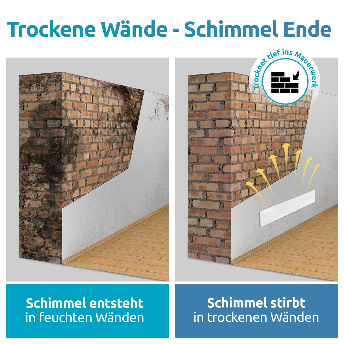 Muffa-DRY Premium Pacchetto Risparmio