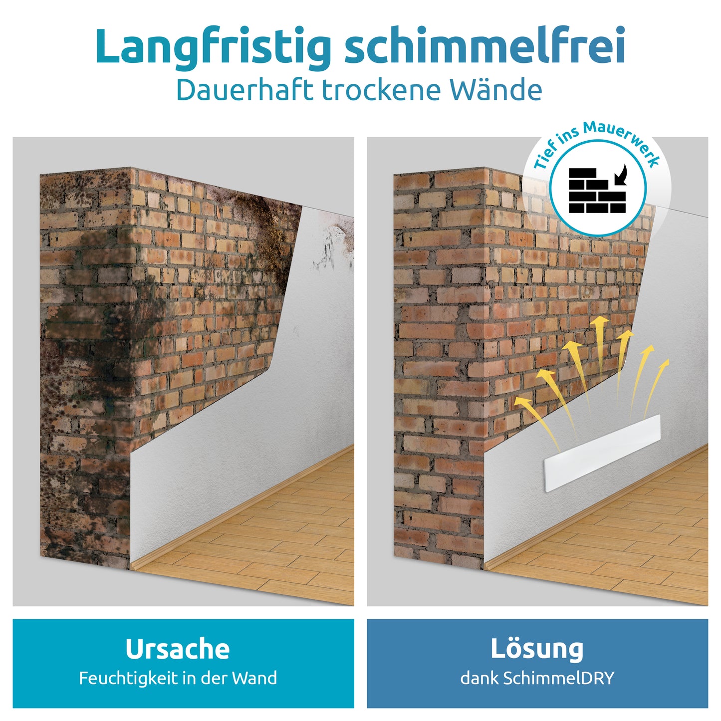 Schimmel-DRY 2er Set