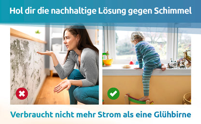 Schimmel-DRY 2er Set